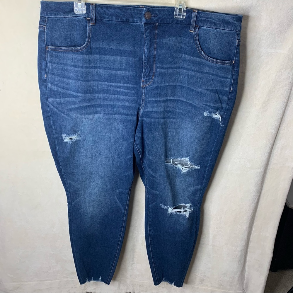 American Eagle Distressed Jegging “The Dream”